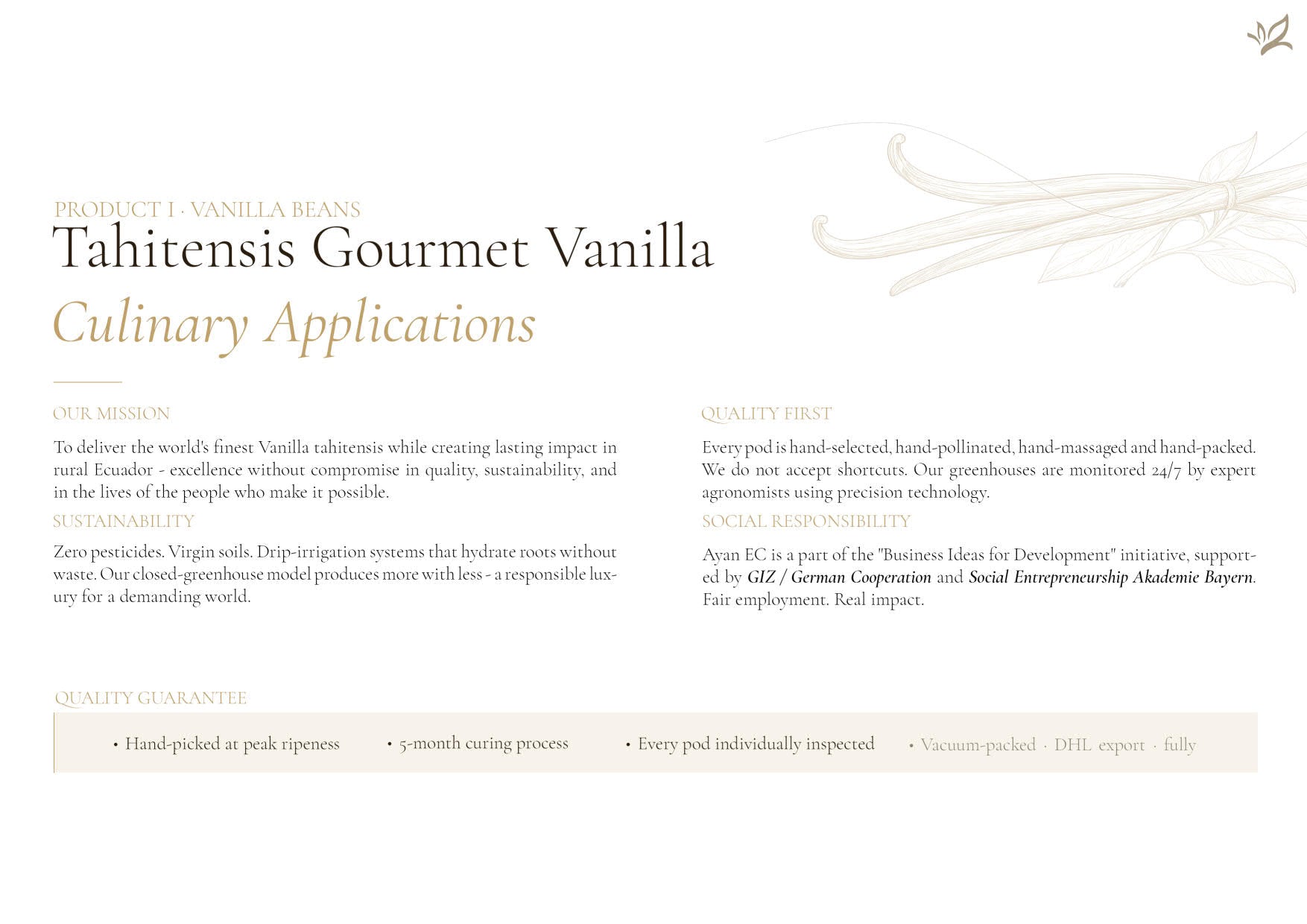 Vanilleschote Golden Selection – Premium-Vanilleschote Typ A