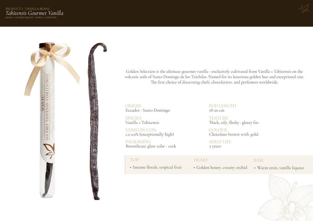 Vanilleschote Golden Selection – Premium-Vanilleschote Typ A